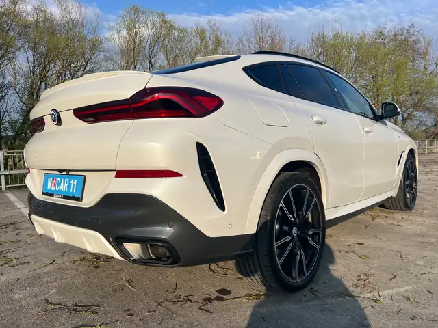 BMW X6 xDrive 40 d M Sport PANO HEAD UP AHK LASER 22" TOP Ansicht 5