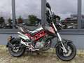 Benelli TNT 125 Tornado Naked T TNT 125 - neu - thumbnail 3