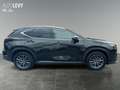 Lexus NX 350h Executive +Allwetter+Panorama+Kamera+Temp Schwarz - thumbnail 7