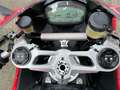 Ducati Panigale 959 Red - thumbnail 20