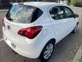 Opel Corsa Corsa 1.4 Business 90 (4.75) Business Blanco - thumbnail 4