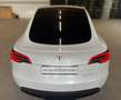 Tesla Model Y Long Range AWD Bianco - thumbnail 6