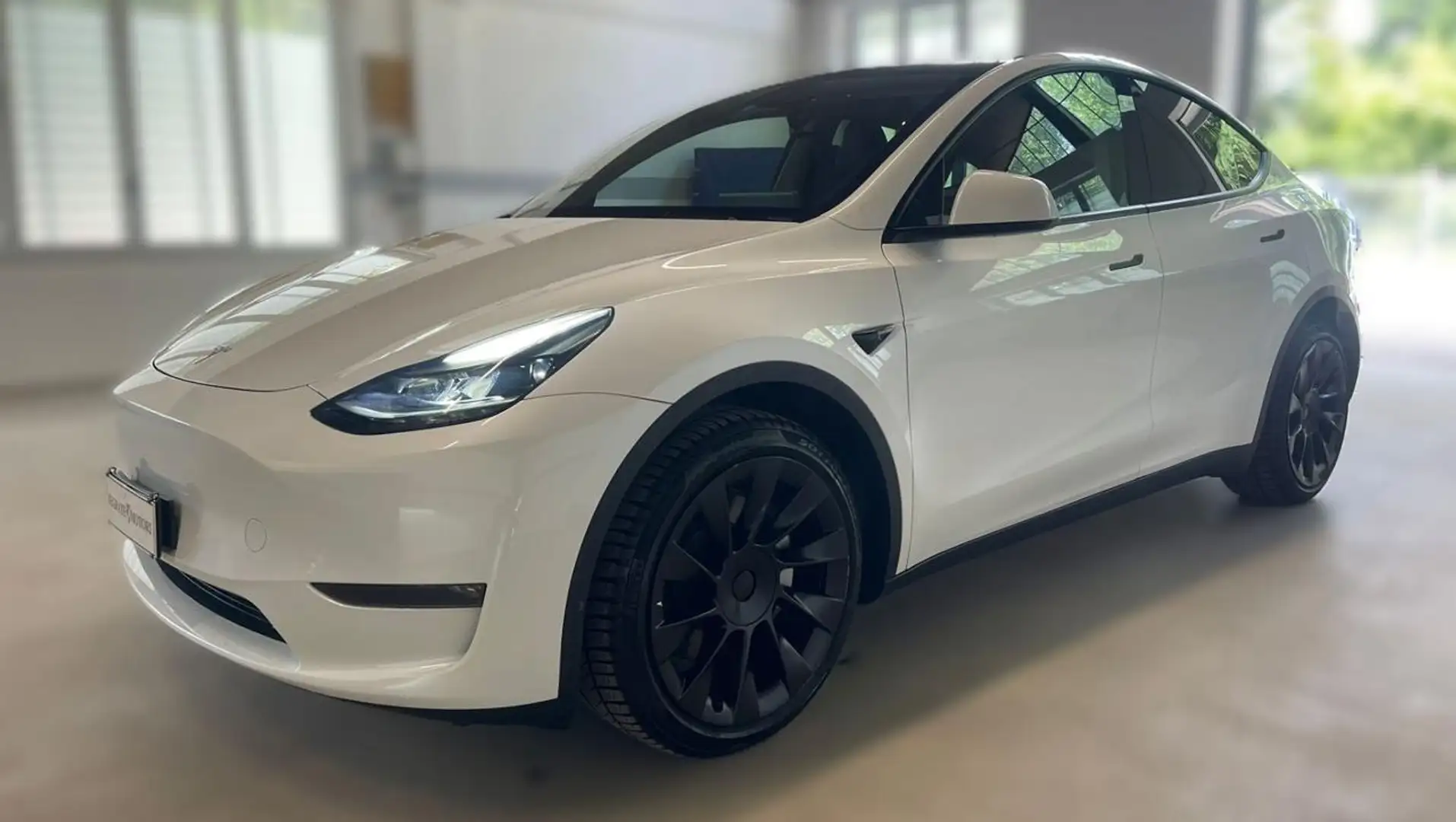 Tesla Model Y Long Range AWD Bianco - 1