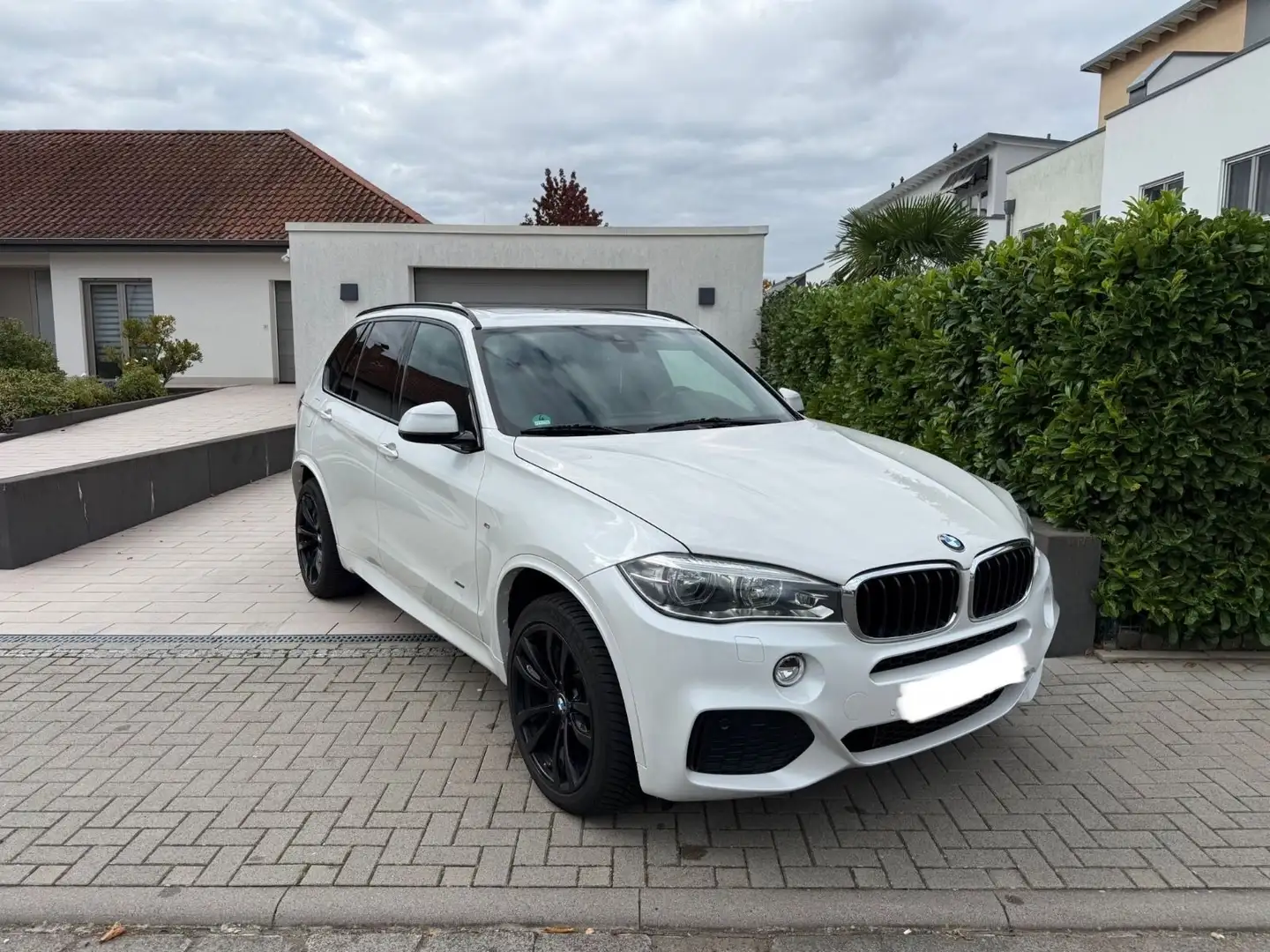 BMW X5 xDrive 30d M-Paket PANO/AHK/LEDER/KAMERA Weiß - 2