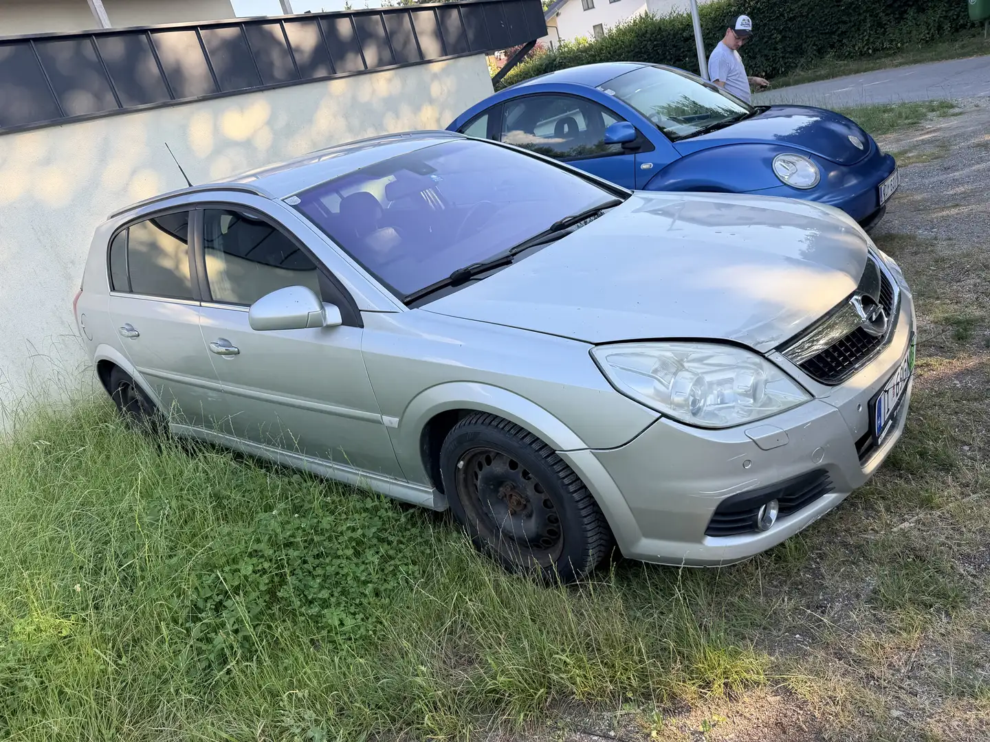 Opel Signum Ohne Pickerl Fahrbereit 2.0d - 2