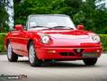 Alfa Romeo Spider Serie 4 Rouge - thumbnail 22