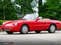 Alfa Romeo Spider Serie 4 Rouge - thumbnail 3