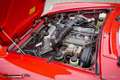 Alfa Romeo Spider Serie 4 Rouge - thumbnail 19