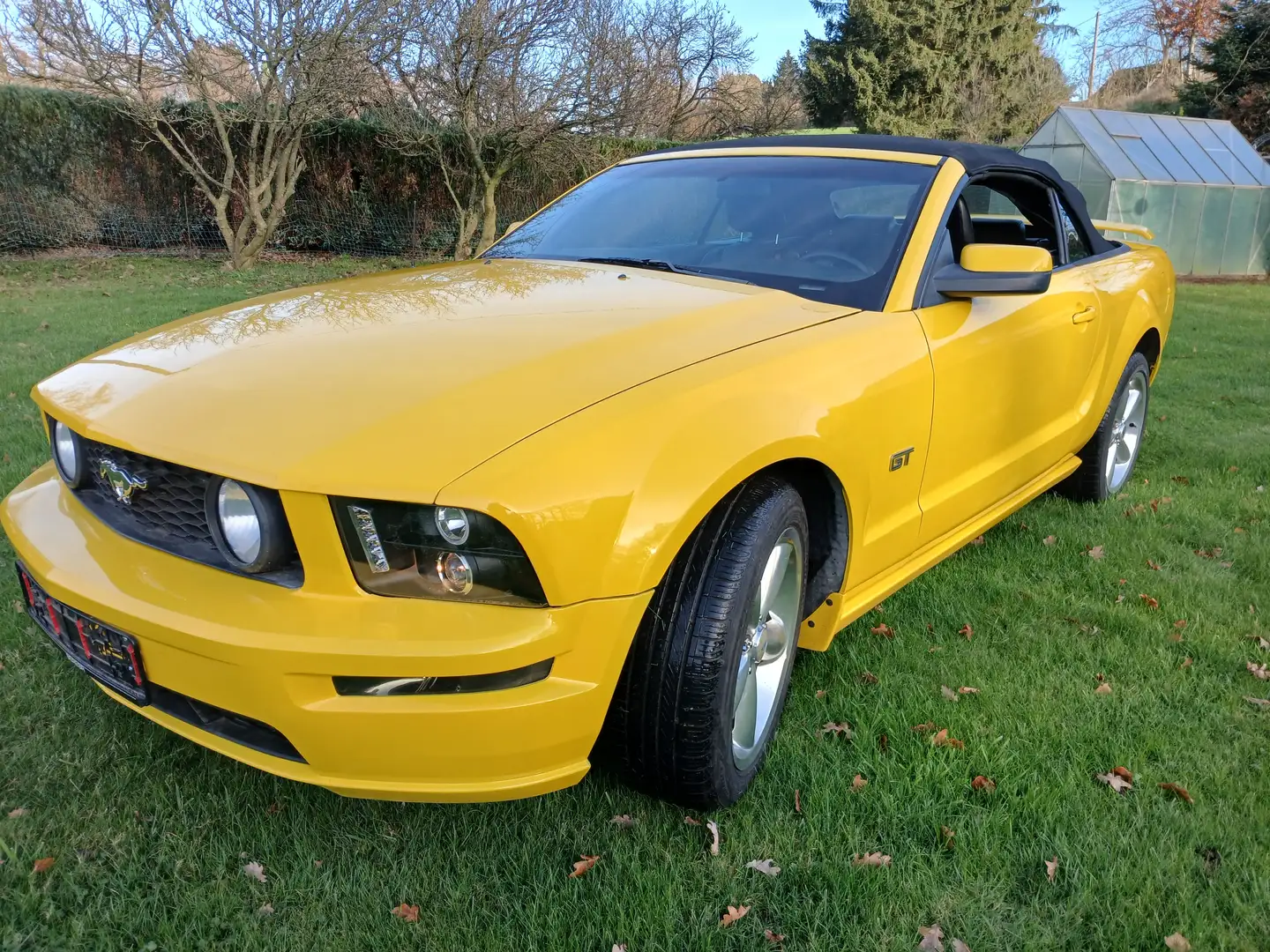 Ford Mustang GT Gelb - 1