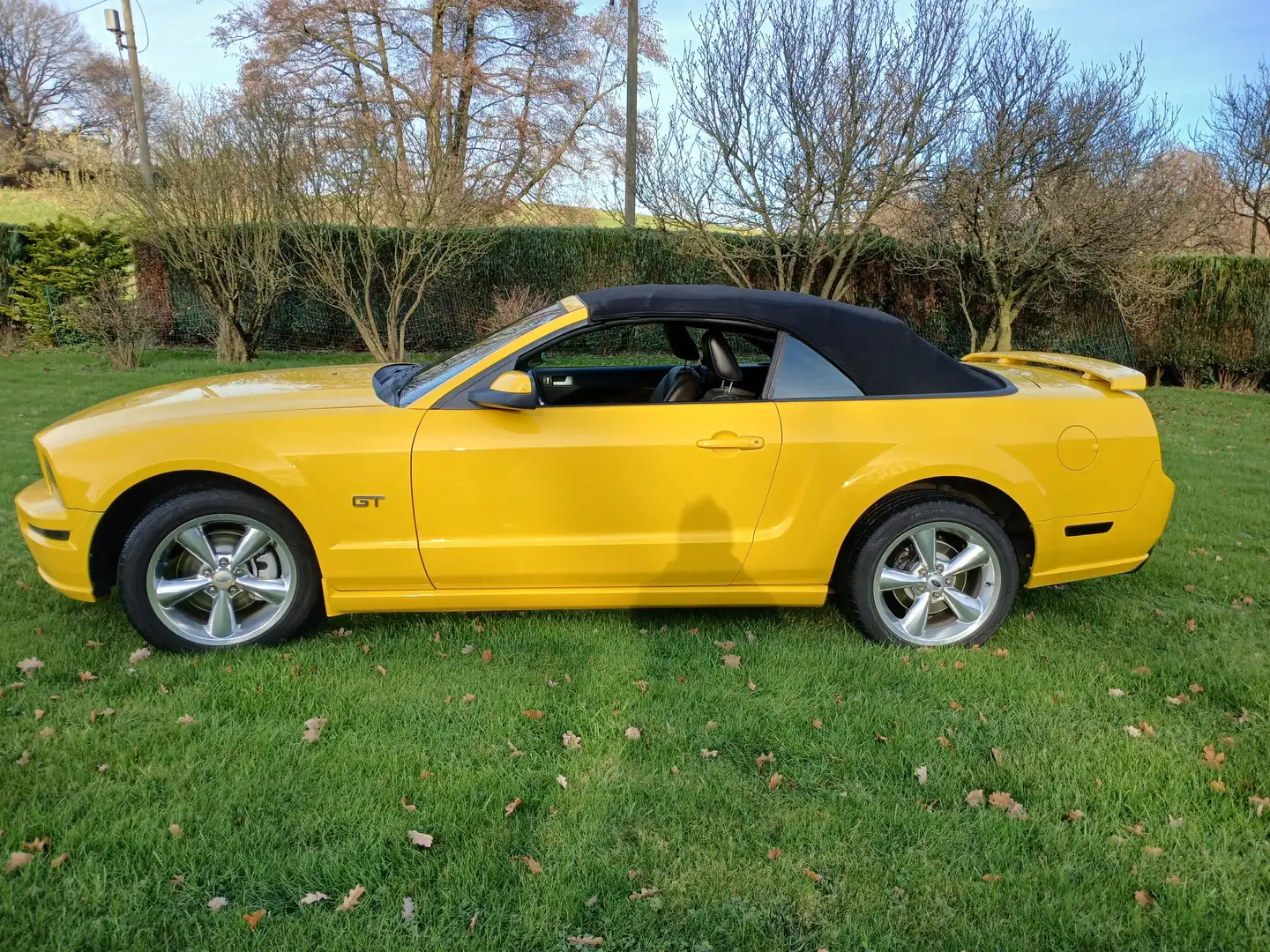 Ford Mustang GT Gelb - 2