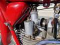 Moto Guzzi Falcone 500CC SPORT TARGA ORO CERTIFICAZIONI ORIGINALI Czerwony - thumbnail 13