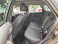 Ford Focus 1.Hand/Neu TÜV/Scheckheft/Garantie/AHK Braun - thumbnail 18