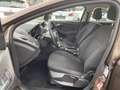 Ford Focus 1.Hand/Neu TÜV/Scheckheft/Garantie/AHK Braun - thumbnail 9