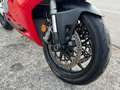 Ducati Panigale V2 Rosso - thumbnail 15