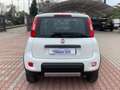 Fiat New Panda 1.3 MJT 95cv S.&S. 4X4 AZIENDALE White - thumbnail 6