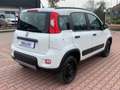 Fiat New Panda 1.3 MJT 95cv S.&S. 4X4 AZIENDALE Bílá - thumbnail 5