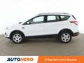 Ford Kuga 1.5 EcoBoost Cool&Connect *NAVI*TEMPO*CAM*PDC*SHZ* Weiß - thumbnail 3