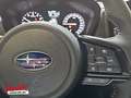 Subaru Forester Forester 2.0ie Mild-Hybrid Active, AHK (Eu.6e) Gris - thumbnail 23