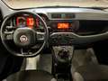 Fiat New Panda 1.2 69CV  EASY OK NEOPATENTATI AZIENDALE Gri - thumbnail 10