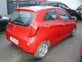Kia Picanto Picanto  5-Trg 1.0 Edition 7 Klima II Hand Ganzj.R Rot - thumbnail 3