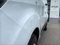 Ford Transit Custom Kasten 2,0 TDCi L2H1 300 Trend AHK/STH/WSS-Heiz... Weiß - thumbnail 37