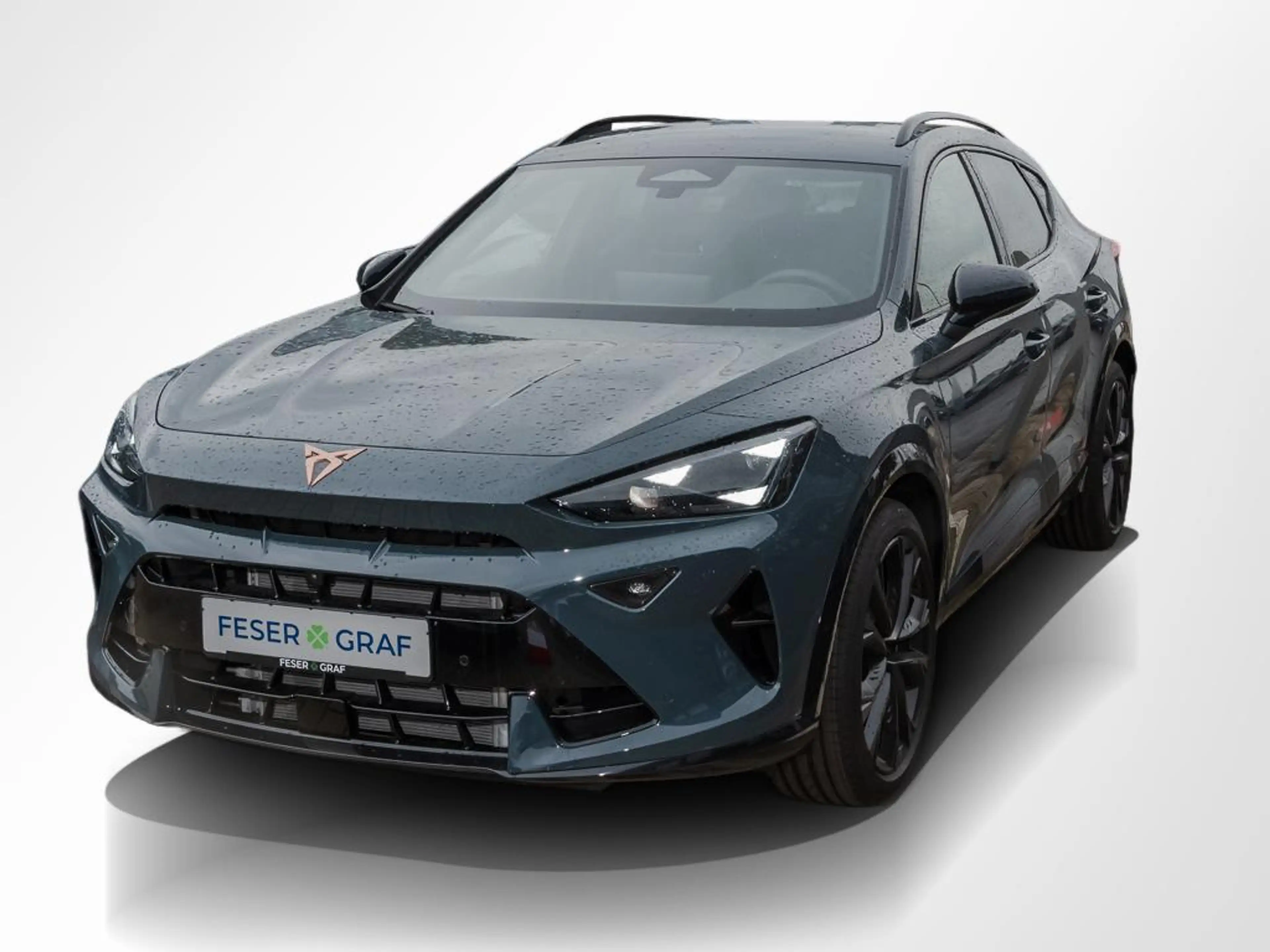 CUPRA Formentor VZ 2.0 TSI 4Drive 360°KAMERA/NAVI/ACC — photo 14