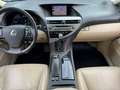 Lexus RX 450h Young Timer l VERKOCHT Zwart - thumbnail 20