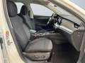 Skoda Octavia Combi Style 2.0 TDI DSG Abstandstempomat Weiß - thumbnail 10
