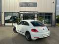 Volkswagen Beetle 1.2 TSI BMT CUP Weiß - thumbnail 4
