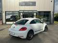Volkswagen Beetle 1.2 TSI BMT CUP Weiß - thumbnail 7