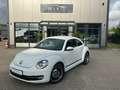 Volkswagen Beetle 1.2 TSI BMT CUP Weiß - thumbnail 3