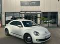 Volkswagen Beetle 1.2 TSI BMT CUP Weiß - thumbnail 1