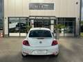 Volkswagen Beetle 1.2 TSI BMT CUP Weiß - thumbnail 5