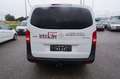 Mercedes-Benz Vito Vito Kasten 110 CDI FWD lang (EURO 6d-TEMP) Weiß - thumbnail 13
