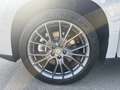 Leapmotor C10 Elektro AWD 81,9kWh Design ProMax Grau - thumbnail 22