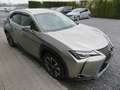 Lexus UX 250h UX 250h 2.0i FWD Business Line Beige - thumbnail 3