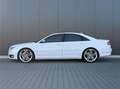 Audi S8 5.2 V10 Quattro B&O Audio - Schuifdak - Zeer Nette Blanc - thumbnail 9