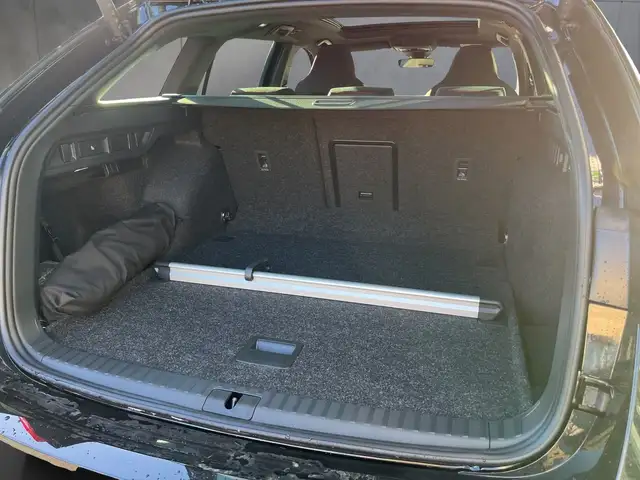 Skoda Octavia RS Ansicht 14