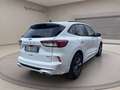 Ford Kuga 2.5 full hybrid st-line 2wd 190cv cvt Bianco - thumbnail 4