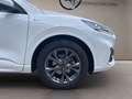 Ford Kuga 2.5 full hybrid st-line 2wd 190cv cvt Bianco - thumbnail 15