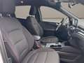Ford Kuga 2.5 full hybrid st-line 2wd 190cv cvt Bianco - thumbnail 8