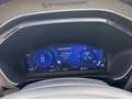 Ford Kuga 2.5 full hybrid st-line 2wd 190cv cvt Bianco - thumbnail 13