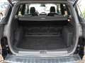 Ford Kuga ST-Line Black - thumbnail 13