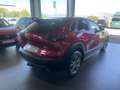 Mazda CX-30 2.0 Skyactiv-G Evolution 2WD 90kW Rojo - thumbnail 5