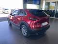 Mazda CX-30 2.0 Skyactiv-G Evolution 2WD 90kW Rojo - thumbnail 7