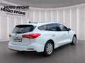 Ford Focus Titanium Turnier 1.0 EcoBoost AHK Pano LED Weiß - thumbnail 4