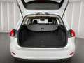 Ford Focus Titanium Turnier 1.0 EcoBoost AHK Pano LED Weiß - thumbnail 19