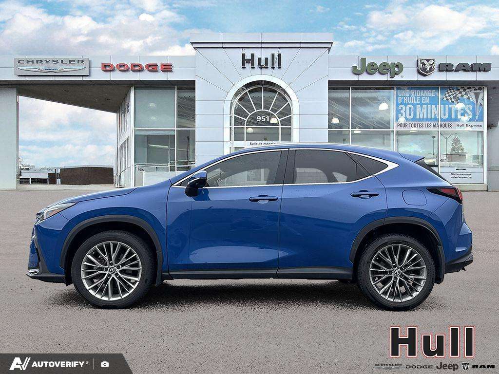 2024 Lexus NX