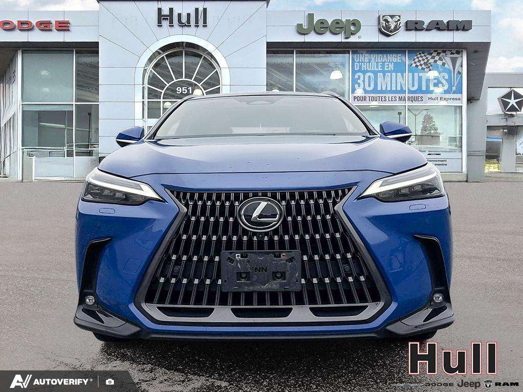 2024 Lexus NX