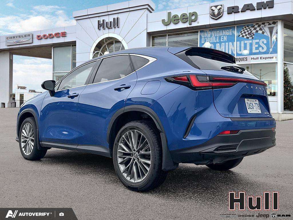 2024 Lexus NX